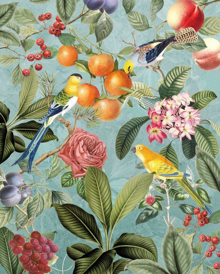 Komar Vliesbehang Birds and Berries 200 x 250 cm (breedte x hoogte) (1 stuk)