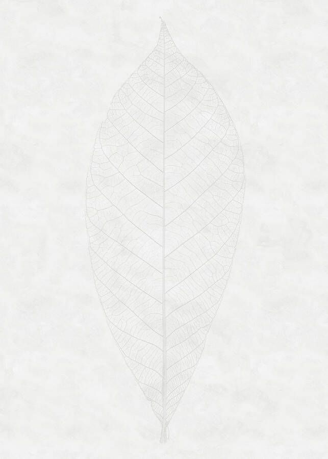Komar Decent Leaf Vlies Fotobehang 200x280cm 2-banen