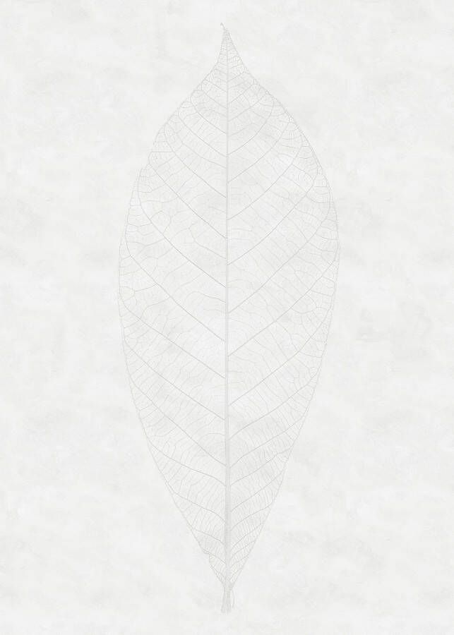 Komar Vliesbehang Decent Leaf 200x280 cm (breedte x hoogte) vliesbehang 100 cm baanbreedte (1 stuk)