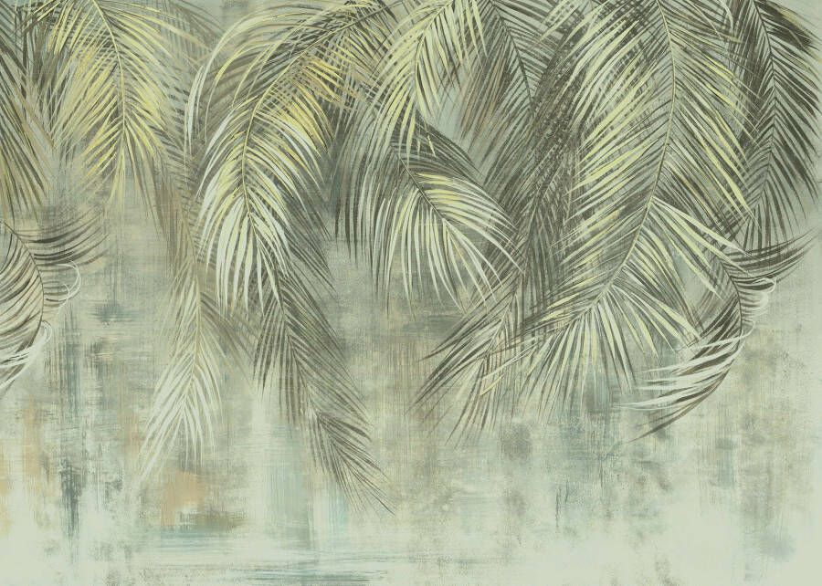 Komar Vliesbehang PALM FRONDS 350x250 cm (breedte x hoogte) (1 stuk)