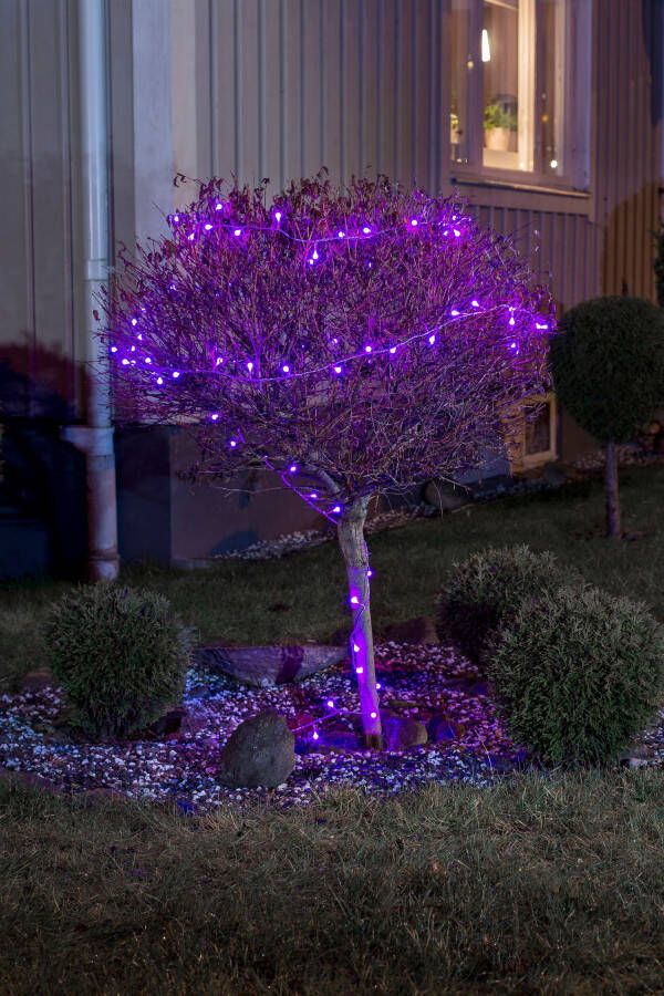 KONSTSMIDE Led-lichtsnoer Kerstversiering buiten Led bollichtketting ronde dioden met rood blauw kleurwisseling (1 stuk)