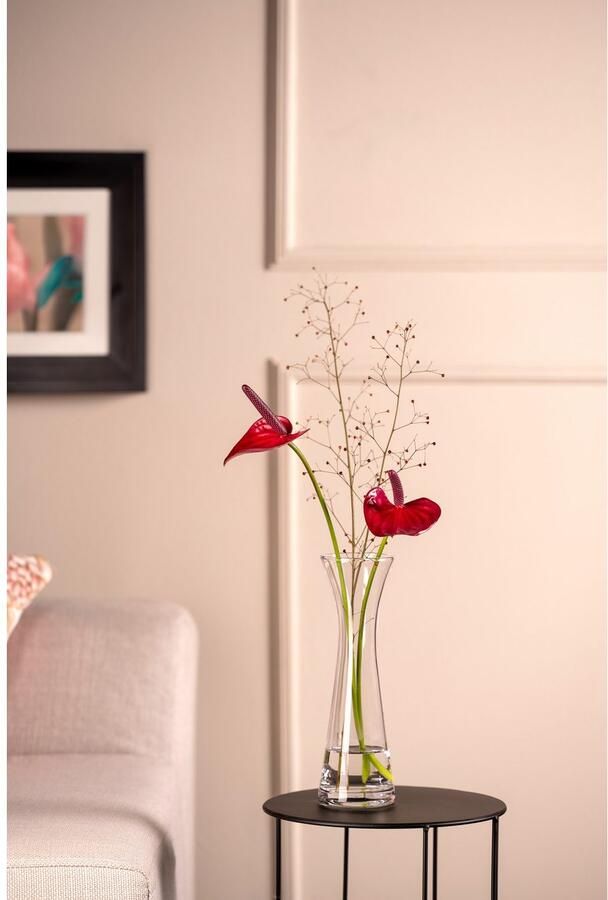 LEONARDO Siervaas GK Solifleurvaas 25 GIA (1 stuk)