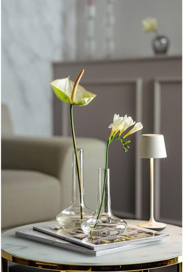 LEONARDO Siervaas GK Solifleurvaas ARIA (1 stuk)