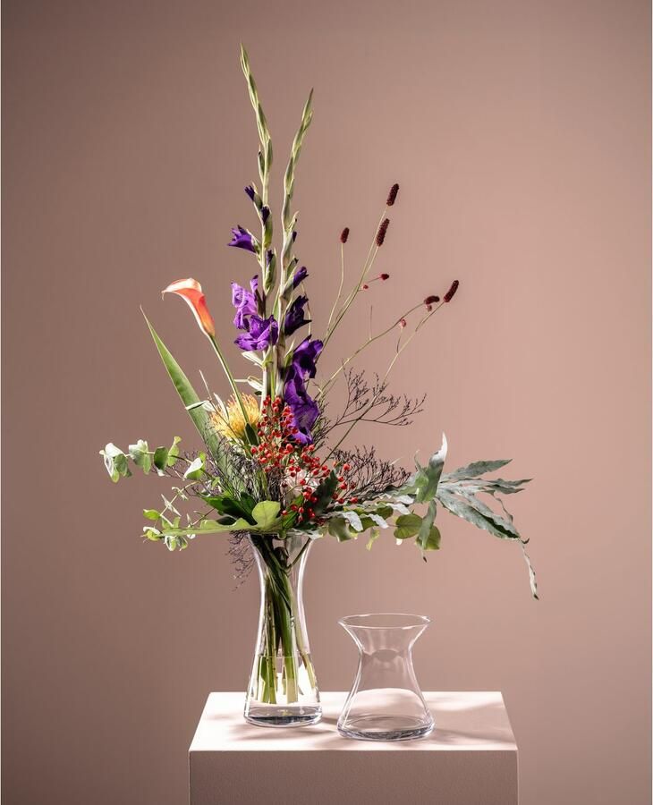 LEONARDO Siervaas GK Vaas GIA (1 stuk)