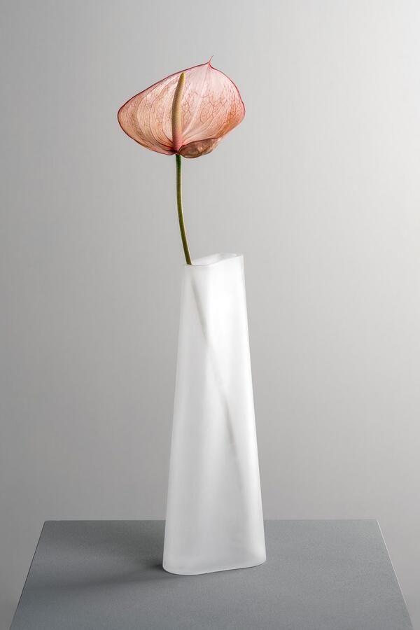 LEONARDO Siervaas GK Vaas TURNO (1 stuk)