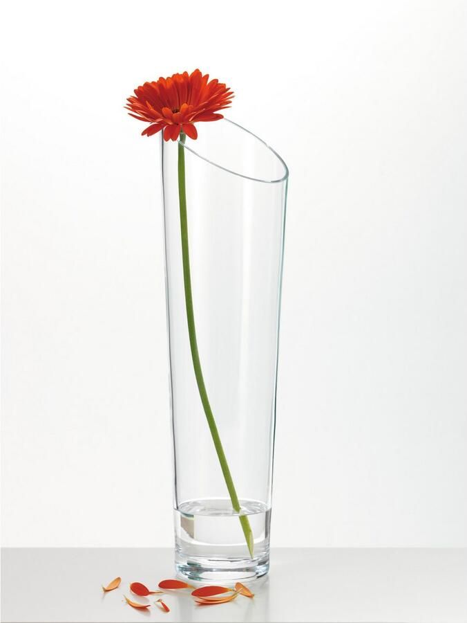 LEONARDO Tafelvaas Decoratieve vaas DYNAMIC (1 stuk)