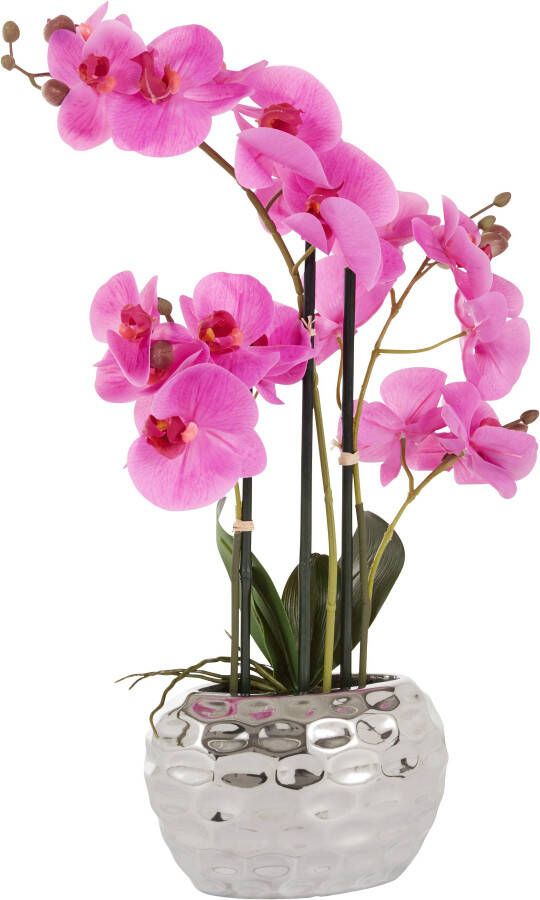 Leonique Kunstplant Orchidee Kunstorchidee in een pot (1 stuk)