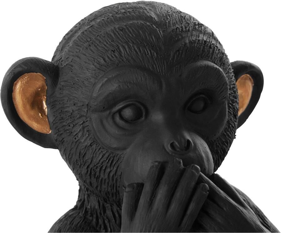 Leonique Decoratief figuur Apen