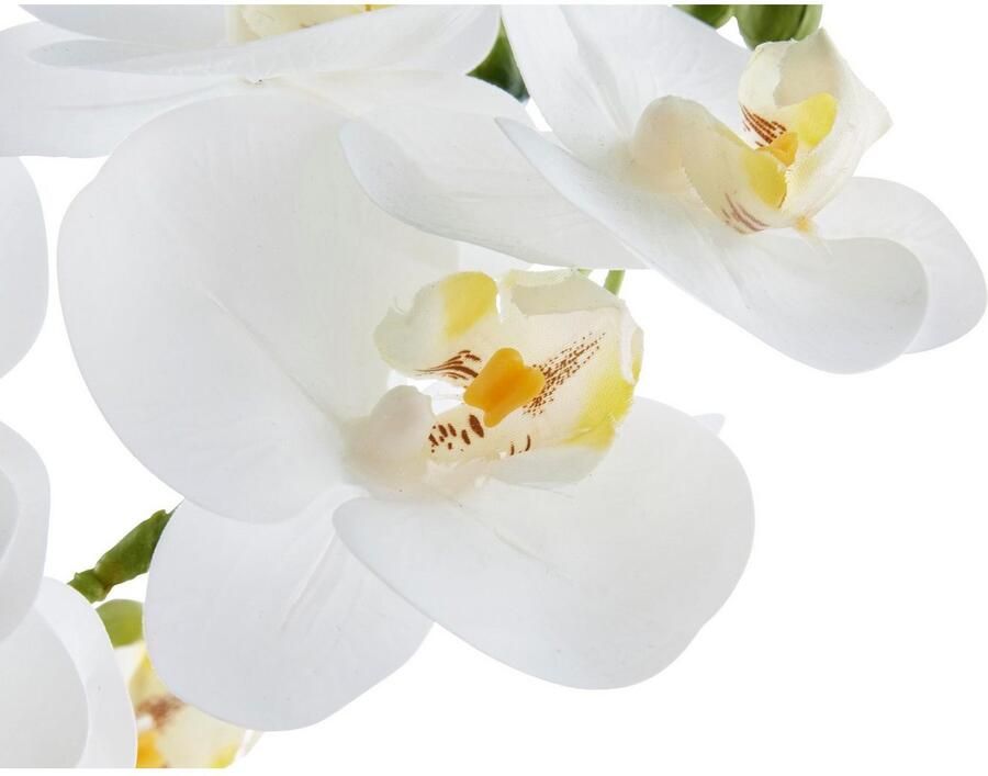 Leonique Kunstplant Orchidee Kunstorchidee in pot bestseller meer dan 2500 4 5-sterren beoordelingen (1 stuk)