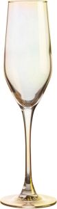 Luminarc Champagneglas Trinkglas Shiny in kleur gecoat 4-delig (set 4-delig)