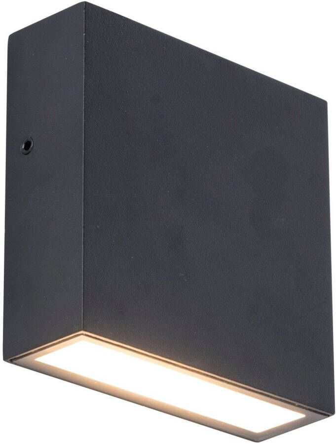 LUTEC Led-wandlamp voor buiten GEMINI XF (1 stuk)