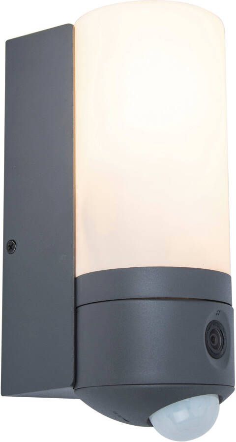 Lutec Wandlamp Met Camera En Sensor 18 8w 1000lm Donkergrijs