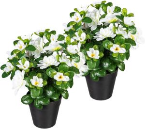 My home Kunstplant Annelie in een pot set van 2 (2 stuks)