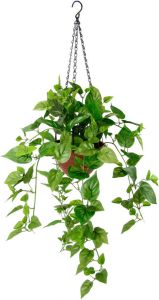 My home Kunstplant Drakenklimop In pot met plantenhanger kunsthangplanten (1 stuk)