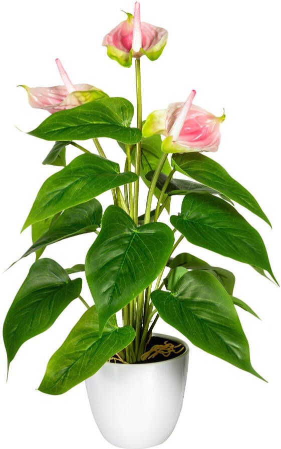 My home Kunstplant Haune in de pot (1 stuk)