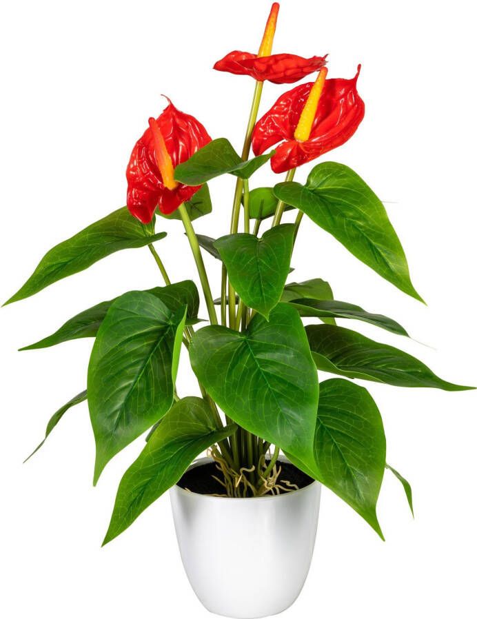 My home Kunstplant Haune in de pot (1 stuk)