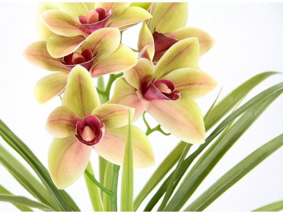 My home Kunstbloem Orchidee Met bladeren in pot van cement kunstbloem Cymbidium-orchidee (1 stuk)