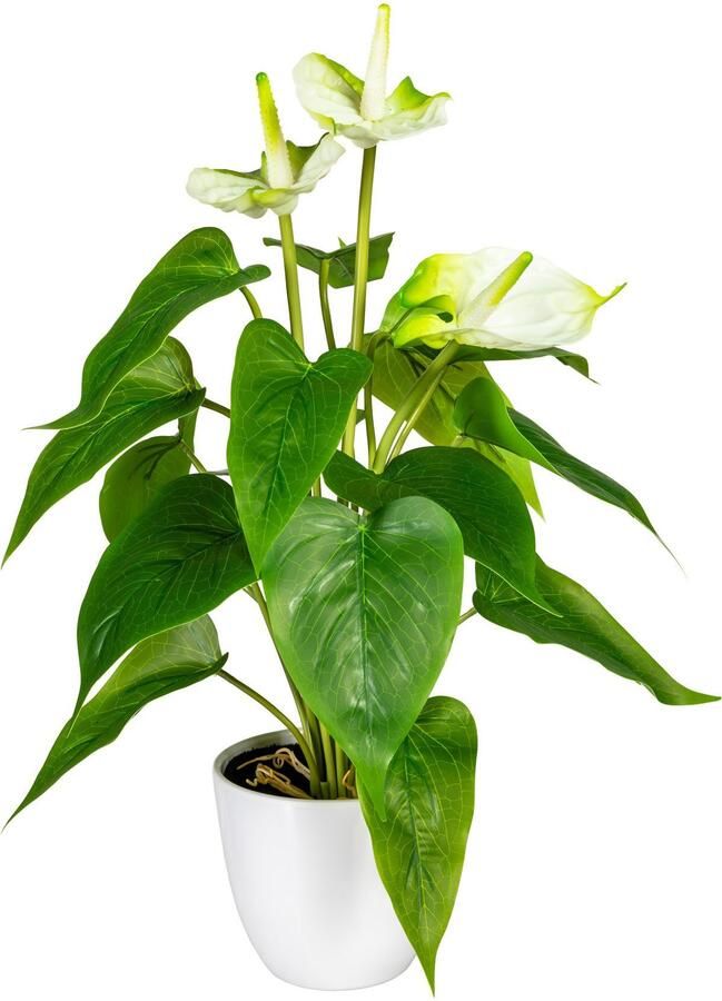 My home Kunstplant Haune in de pot (1 stuk)