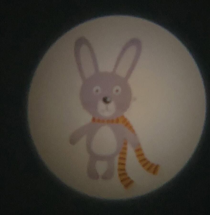 Niermann Lednachtlampje Bosdieren Set dieren in het bos 2 (1 x stekker-nachtlicht 1 x draagbare beamer) (1 stuk)