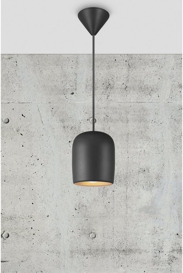 Nordlux Hanglamp NOTTI klein organisch elegant gevormd pendel zacht licht (1 stuk)