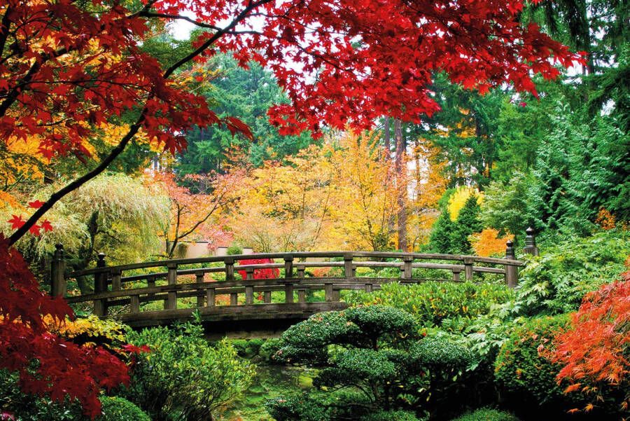 Papermoon Fotobehang Bridge in Japanese Garden