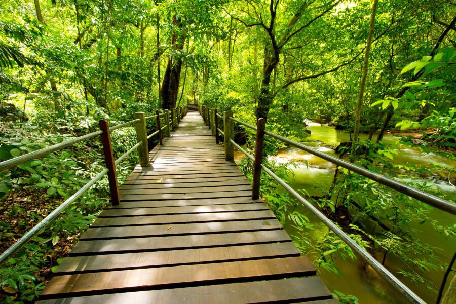 Papermoon Fotobehang Bridge walk BlueBack 7 banen 350 x 260 cm