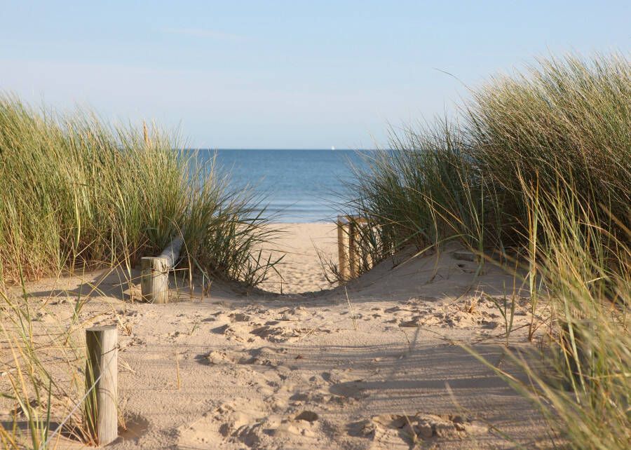 Papermoon Fotobehang Dunes in Dorset