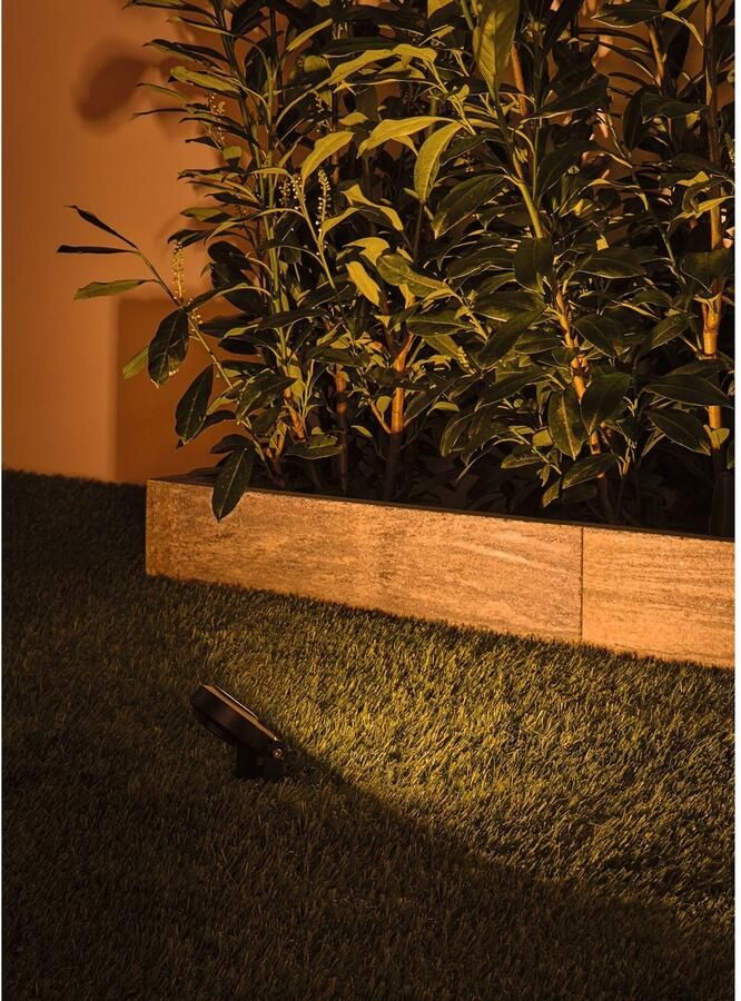 Paulmann Plug & Shine Grondspot Sting Basisset insectvriendelijk IP67 2200K Antraciet