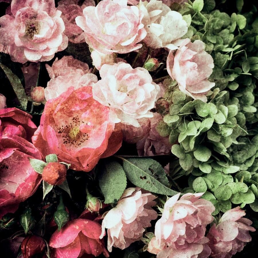 Queence Sierkussen Bloemen Kussenovertrek zonder vulling(1 stuk)