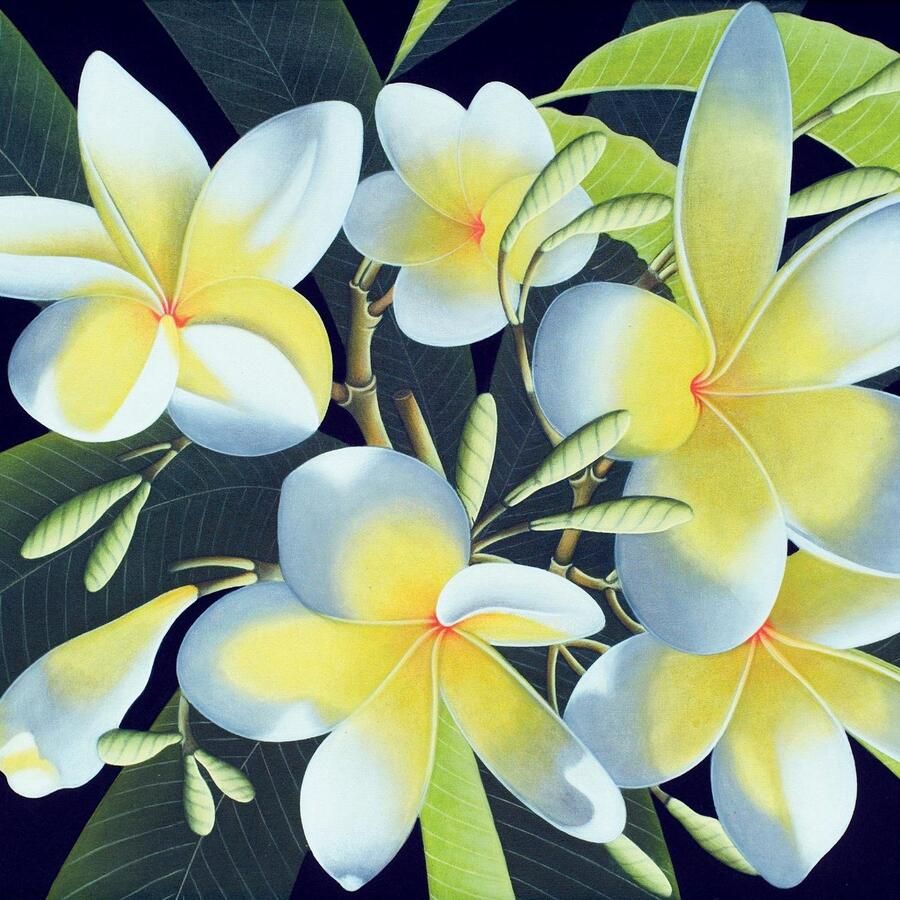 Queence Sierkussen Bloemen Kussenovertrek zonder vulling(1 stuk)