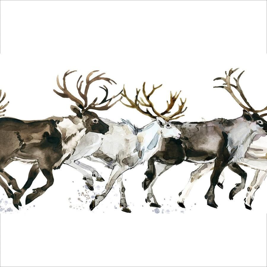 Queence Sierkussen Enzo Kussenhoes herten elanden witte achtergrond kerst feestelijk (1 stuk)