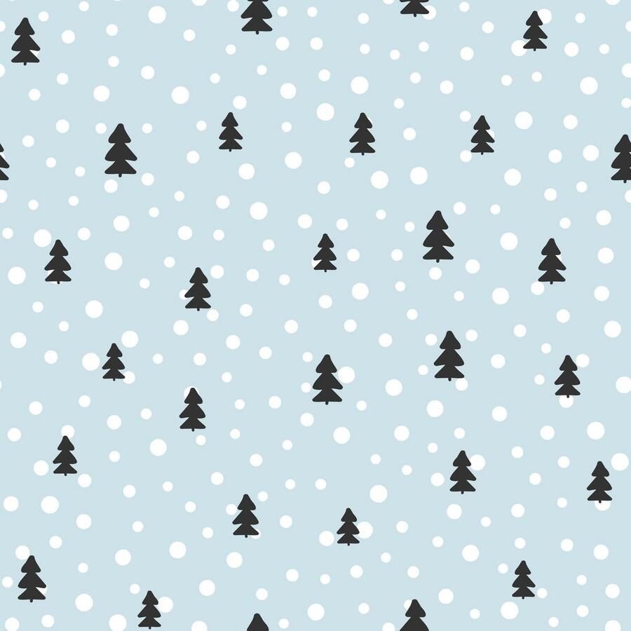 Queence Sierkussen Liam Kussenovertrek zonder vulling(1 stuk)