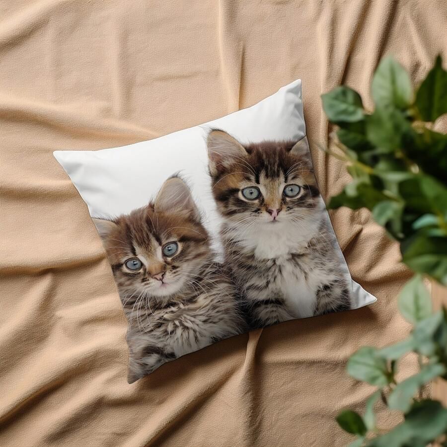 Queence Sierkussen Patrick Kussenhoes katten dierenmotief schattig speels huisdieren decoratief (1 stuk)