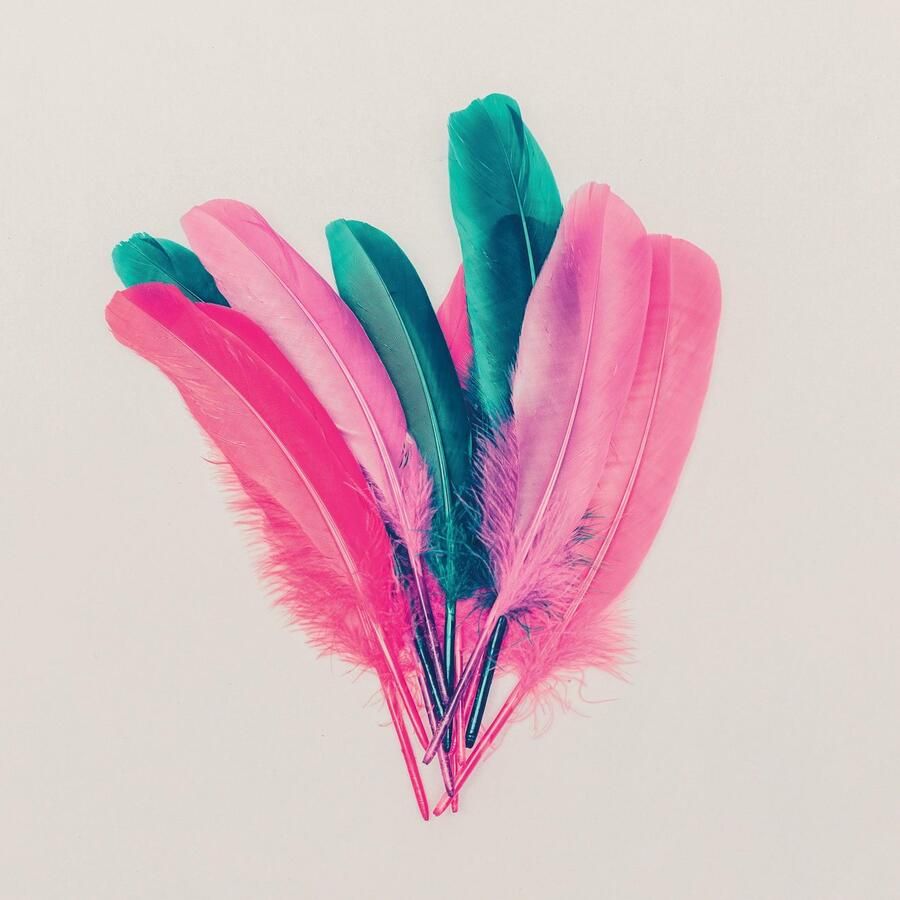 Queence Sierkussen Veren Kussenovertrek zonder vulling(1 stuk)