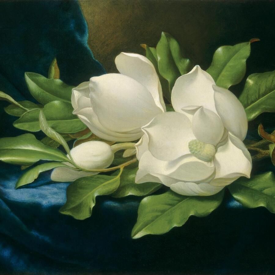 Queence Sierkussen Witte bloem Kussenovertrek zonder vulling(1 stuk)