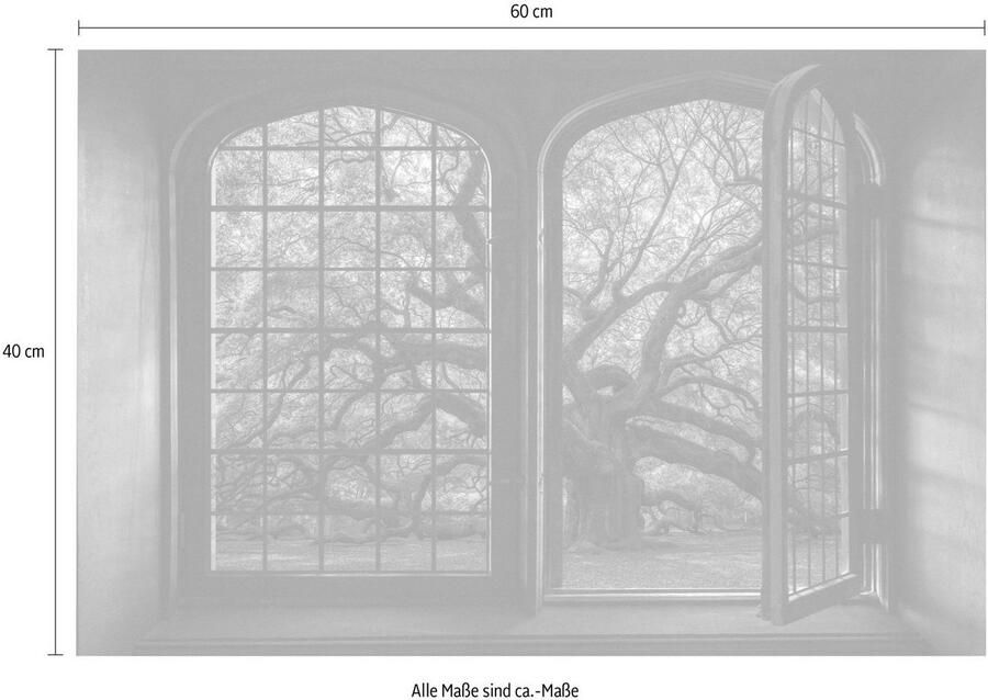 Queence Wandfolie Bomen Muursticker muurdecoratie zelfklevend 3D raam