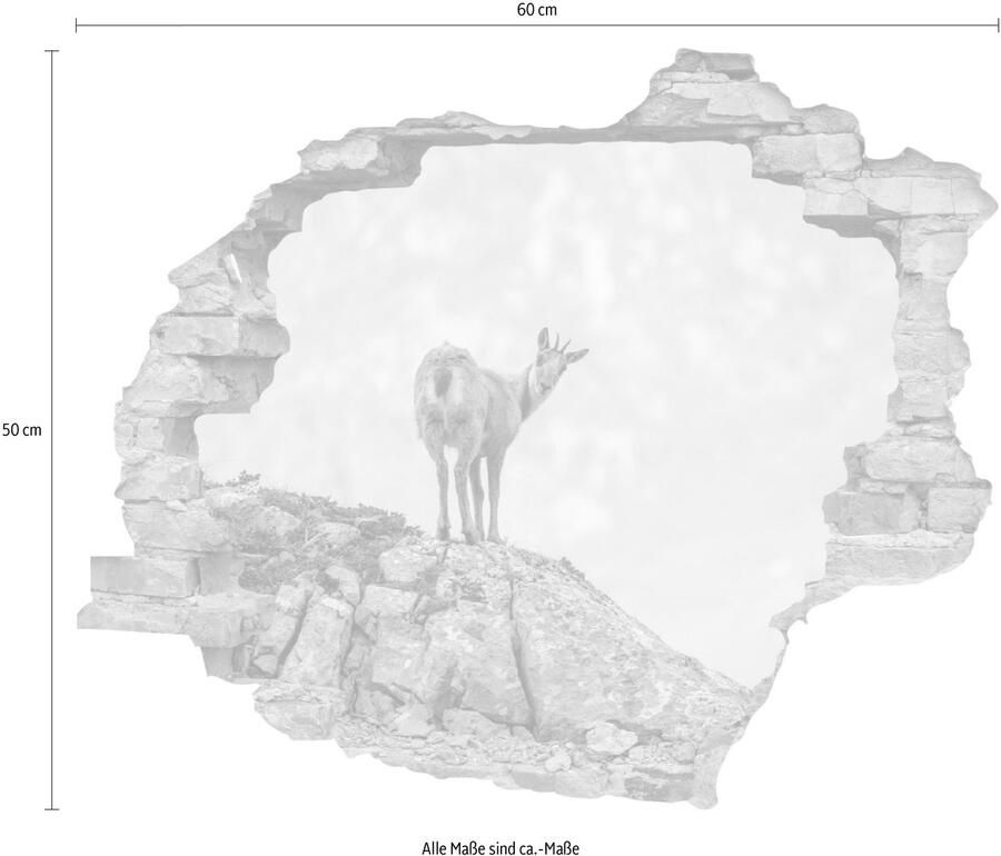 Queence Wandfolie Gams Muursticker muurdecoratie zelfklevend 3D muurdurchbraak (1 stuk)