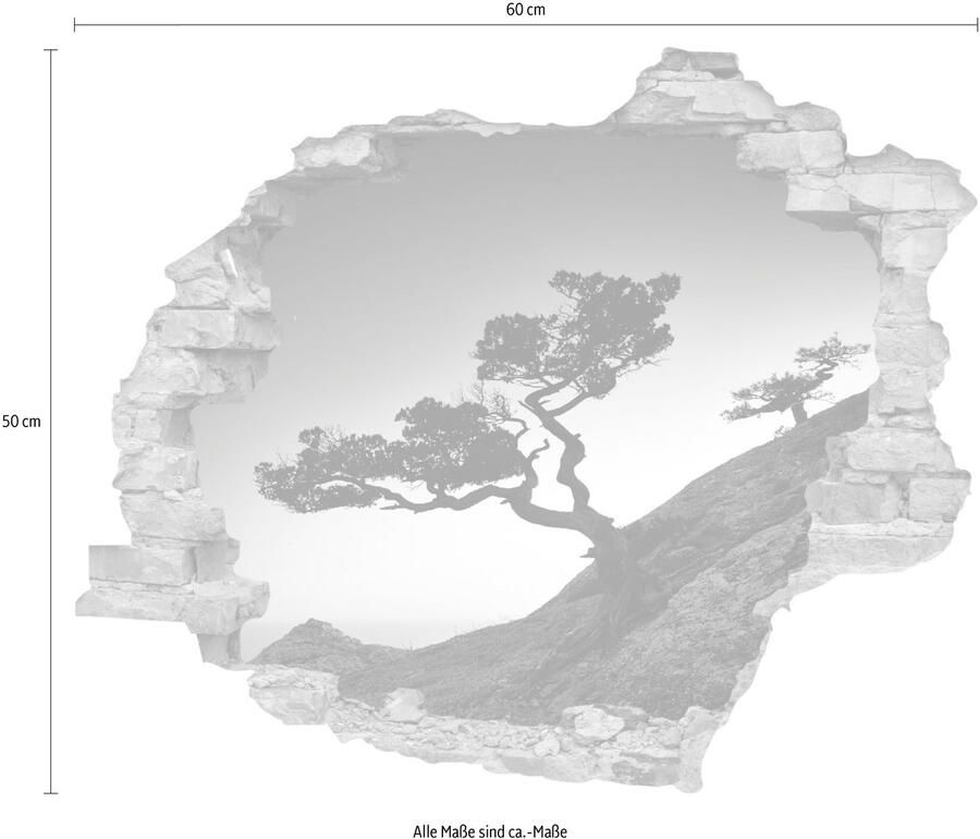 Queence Wandfolie Helling Muursticker muurdecoratie zelfklevend 3D muurdurchbraak (1 stuk)