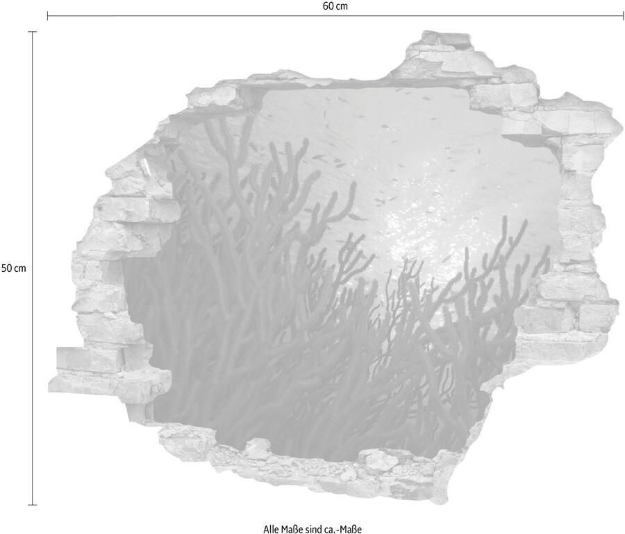 Queence Wandfolie Koraal Muursticker muurdecoratie zelfklevend 3D muurdurchbraak (1 stuk)