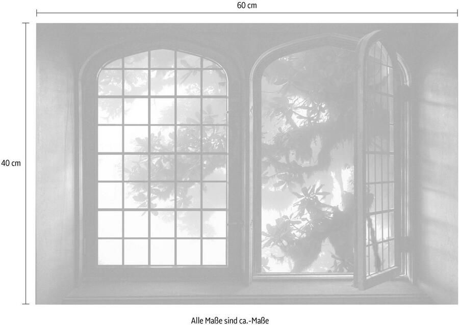 Queence Wandfolie Oerwoud Muursticker muurdecoratie zelfklevend 3D raam