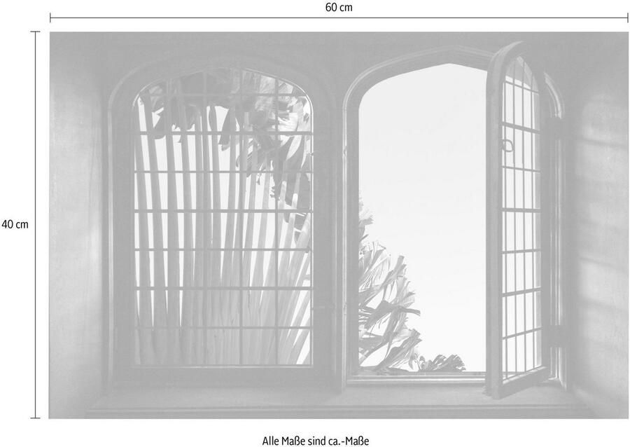 Queence Wandfolie Palm Muursticker muurdecoratie zelfklevend 3D raam