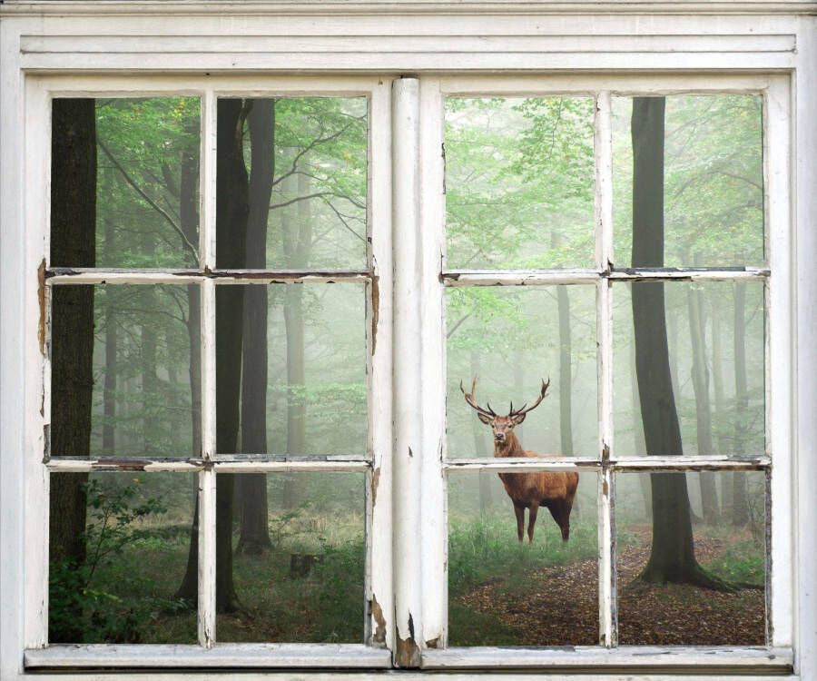 Queence Wandfolie Edelhert in het bos Muursticker muurdecoratie zelfklevend 3D raam