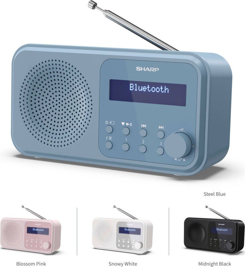 Sharp DR-P420 DAB radio Blauw
