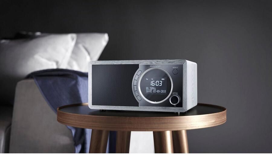 Sharp Digitale radio DAB DR-450