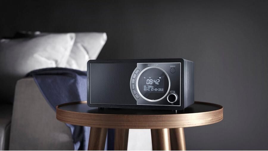 Sharp Digitale radio DAB DR-450