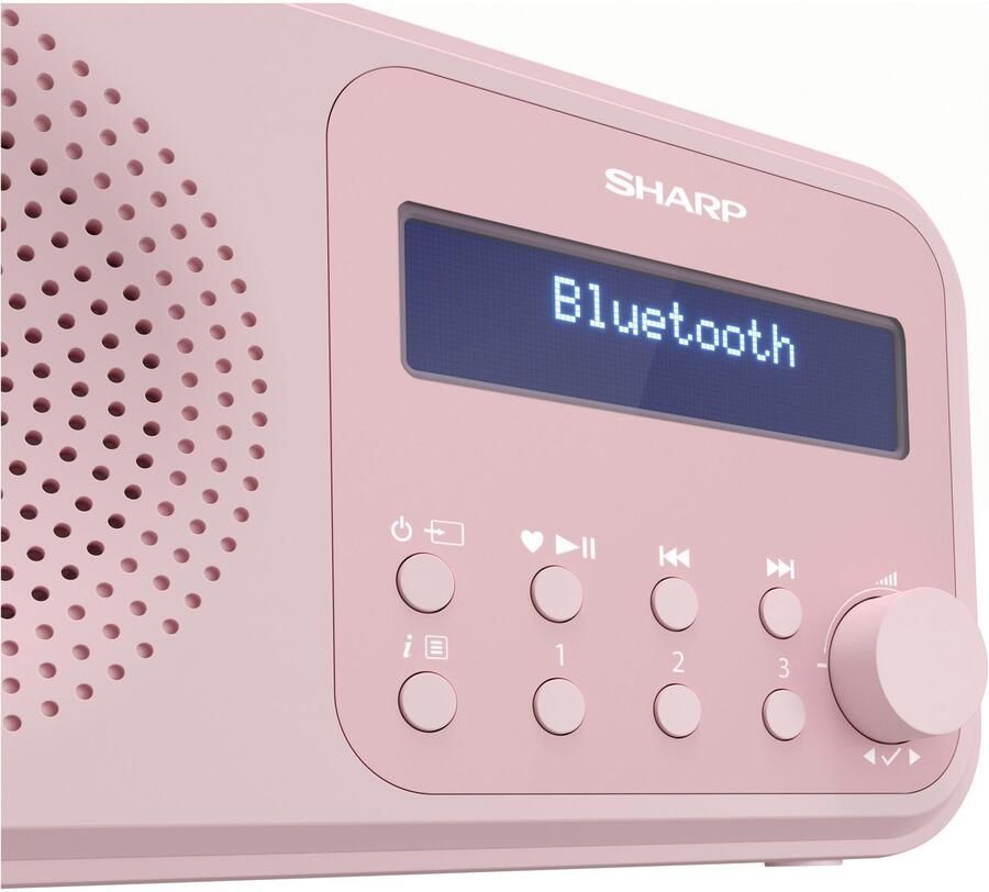 Sharp Radio DR-P420
