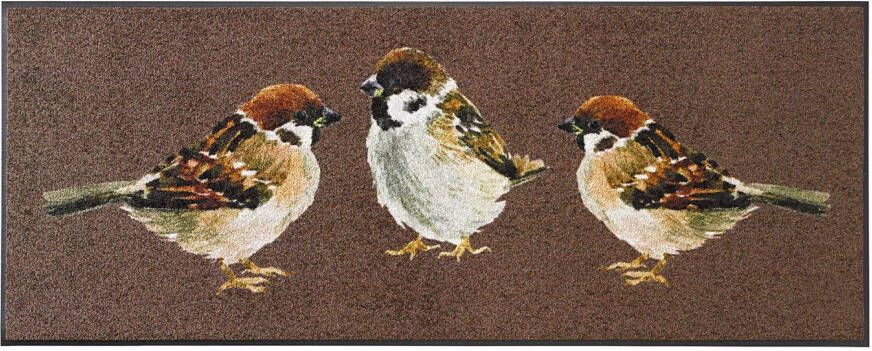 Wash+dry by Kleen-Tex Mat