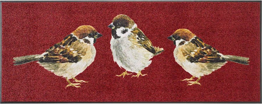 Wash+dry by Kleen-Tex Mat