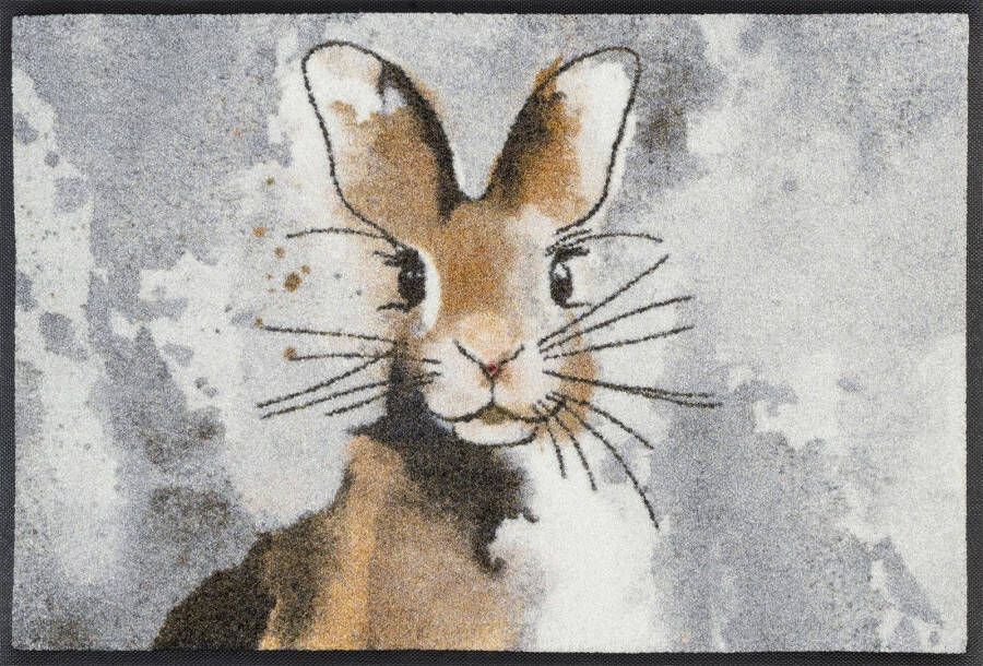 Wash+dry by Kleen-Tex Mat Hopps Inloopmat antislip geschikt voor binnen en buiten wasbaar