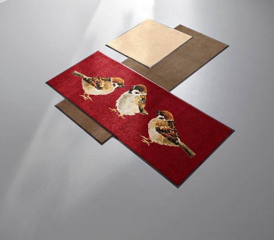 Wash+dry by Kleen-Tex Mat